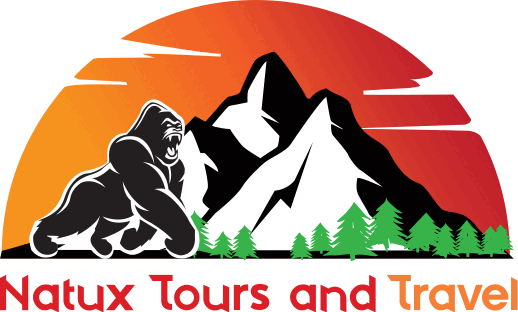 Natux Tours and Travel